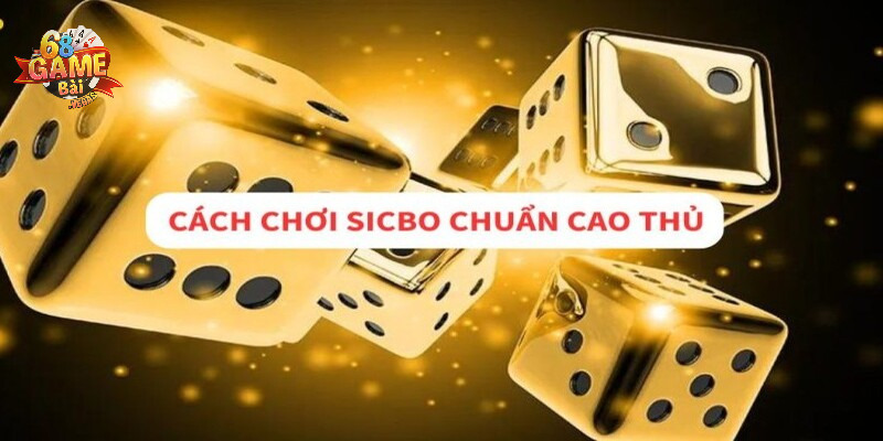 Cách chơi Sicbo cực chuẩn xác từ cao thủ