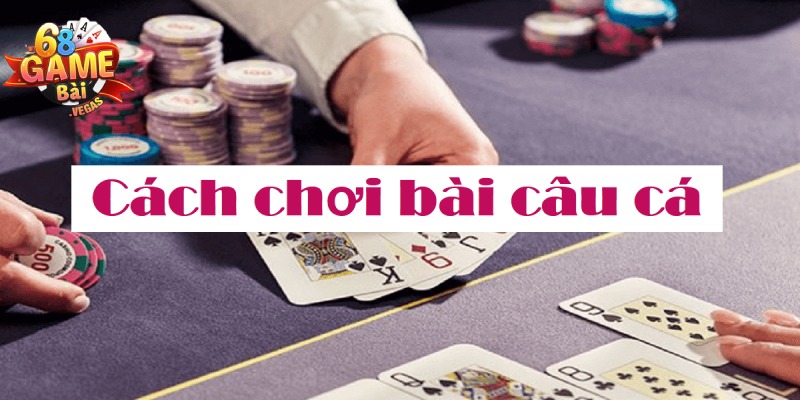 Chỉ dẫn cách đánh Bài Câu Cá dễ hiểu cho người mới